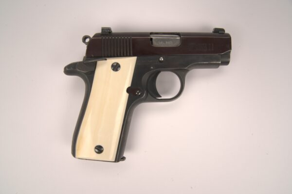 Colt Mustang Plus II .380 2.75" 1989 USED